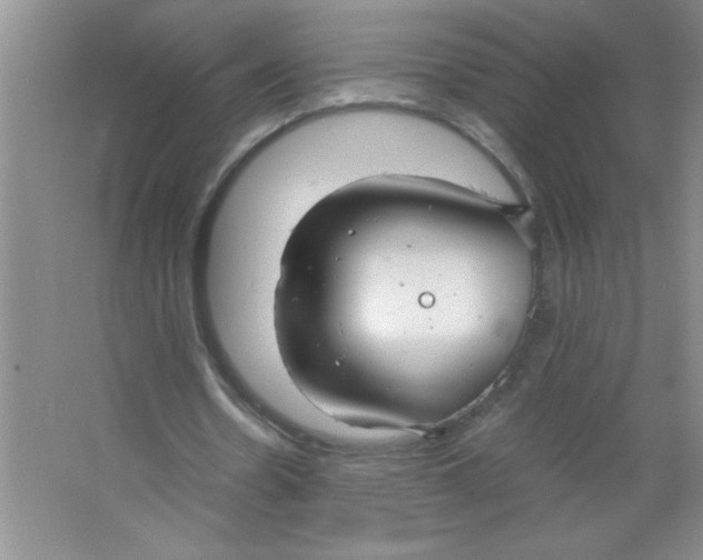 X0000063520530200602101954