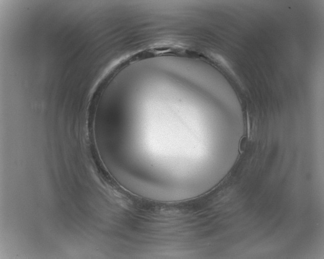 X0000063520531200602101954