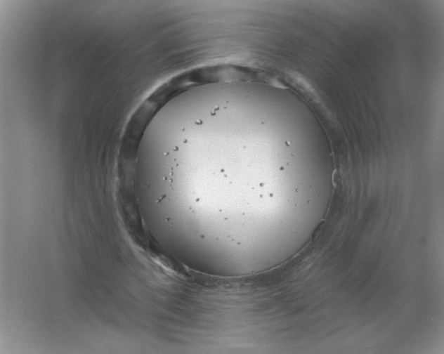 X0000063520532200602101954