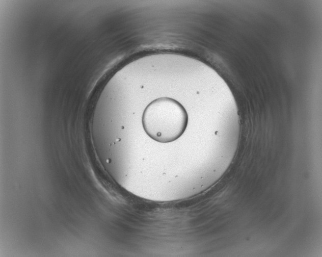 X0000063520534200602101954