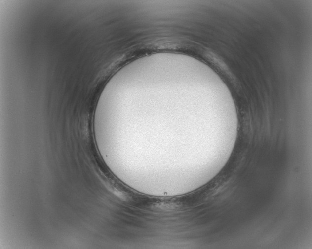 X0000063520537200602101954