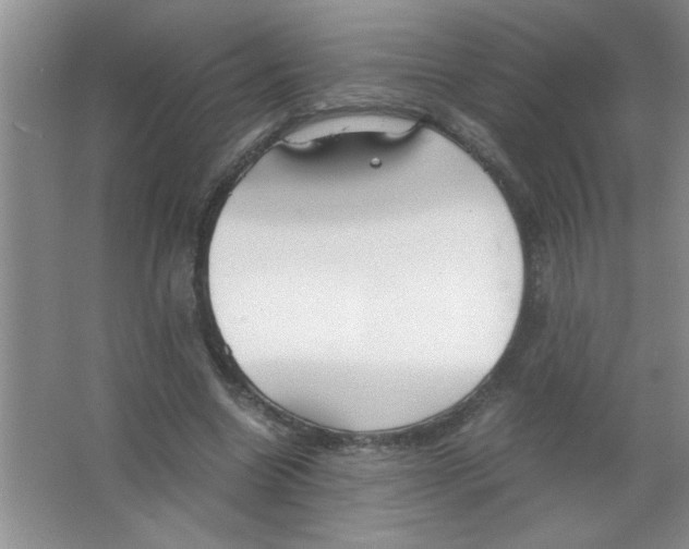 X0000063520538200602101954