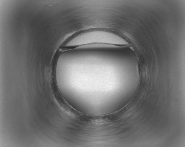 X0000063520540200602101954