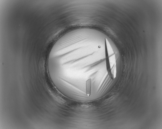 X0000063520542200602101954