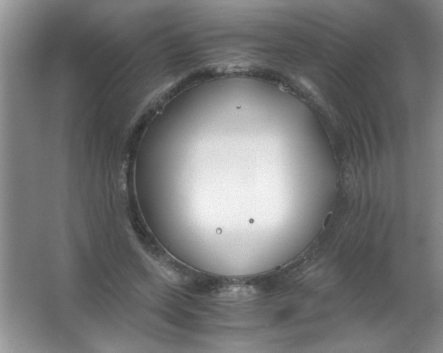 X0000063520543200602101954