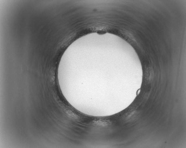 X0000063520545200602101954