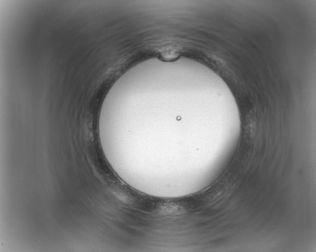 X0000063520547200602101954