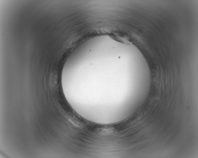 X0000063520548200602101954