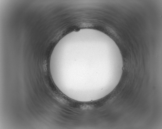 X0000063520549200602101954