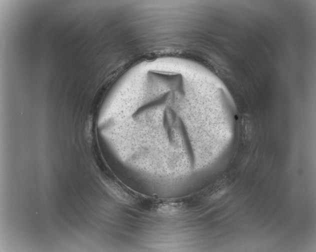 X0000063520550200602101954