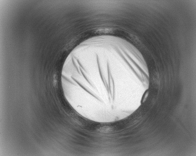 X0000063520551200602101954