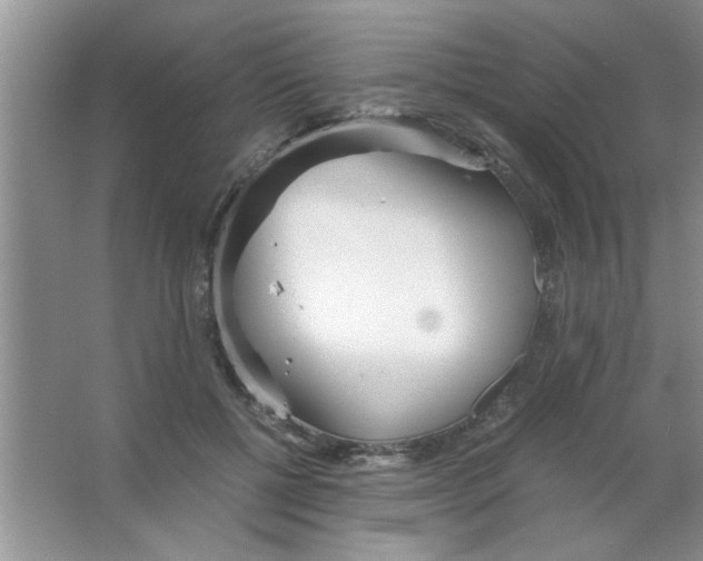 X0000063520552200602101954