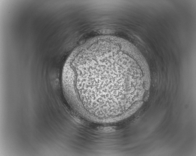 X0000063520553200602101954