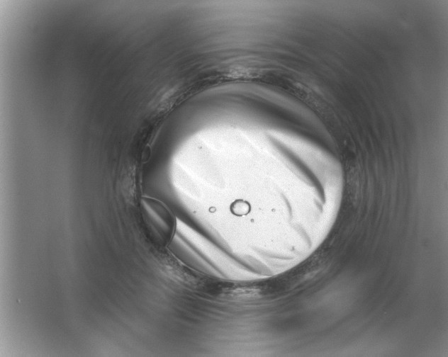 X0000063520554200602101954