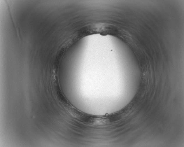 X0000063520555200602101954