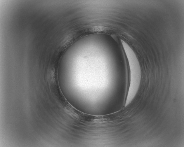 X0000063520556200602101954