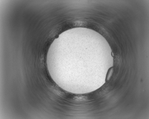 X0000063520557200602101954