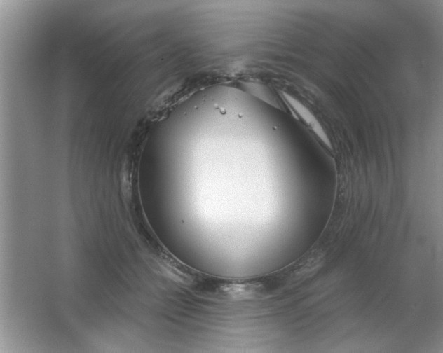 X0000063520558200602101954