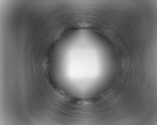 X0000063520559200602101954