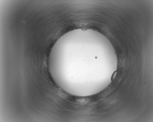 X0000063520561200602101954