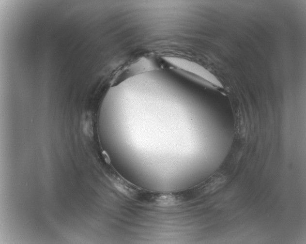 X0000063520562200602101954