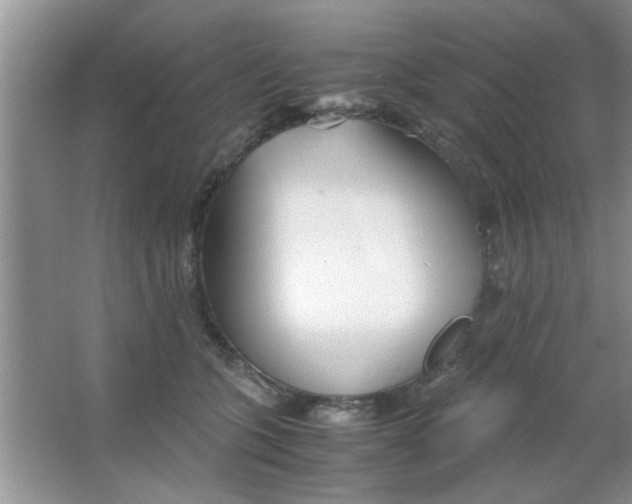 X0000063520563200602101954