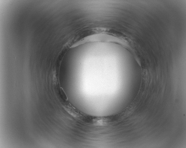 X0000063520564200602101954