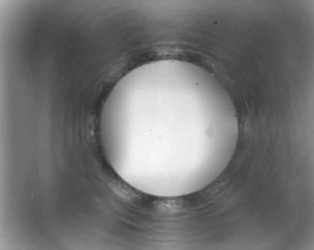 X0000063520567200602101954