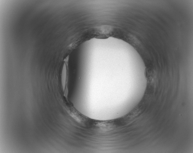 X0000063520568200602101954