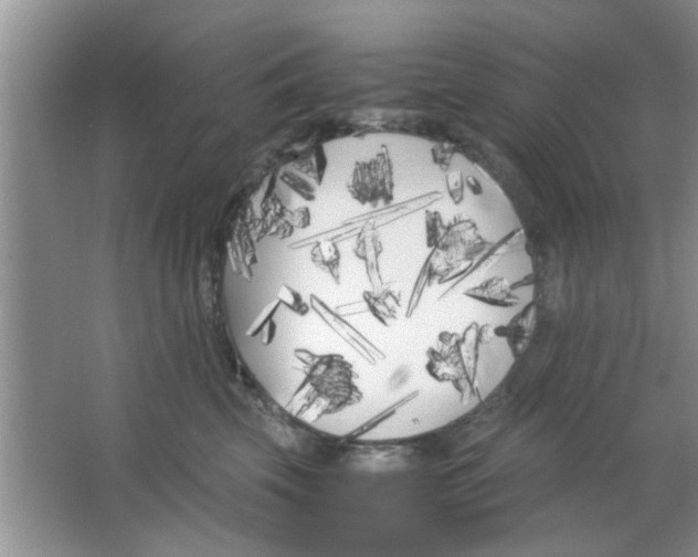 X0000063520569200602101954