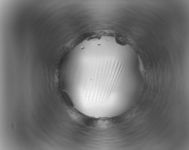 X0000063520570200602101954