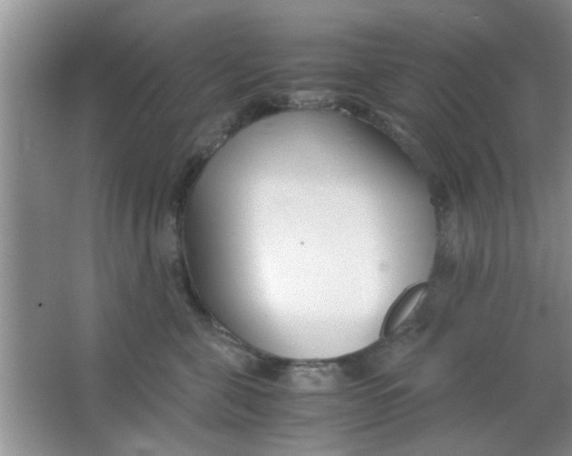 X0000063520571200602101954