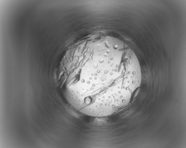 X0000063520573200602101954