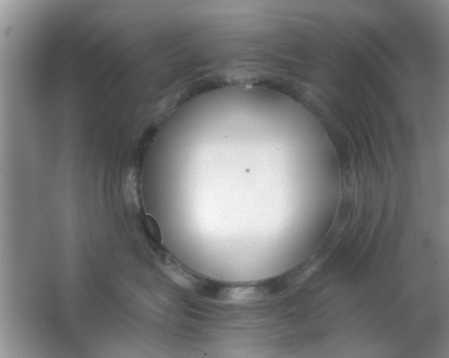 X0000063520575200602101954