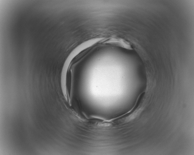 X0000063520576200602101954