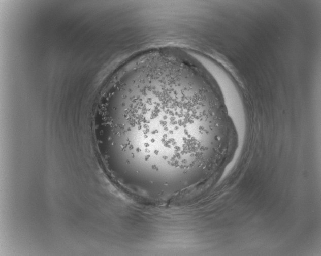 X0000063520577200602101954