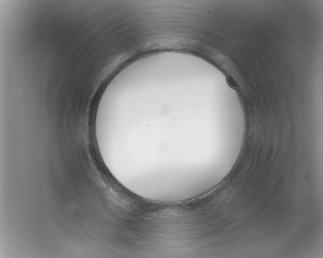 X0000063520578200602101954