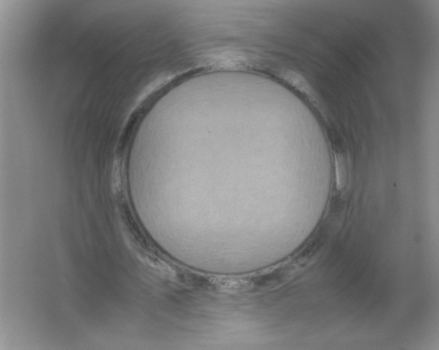 X0000063520579200602101954