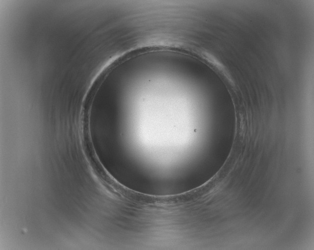 X0000063520580200602101954