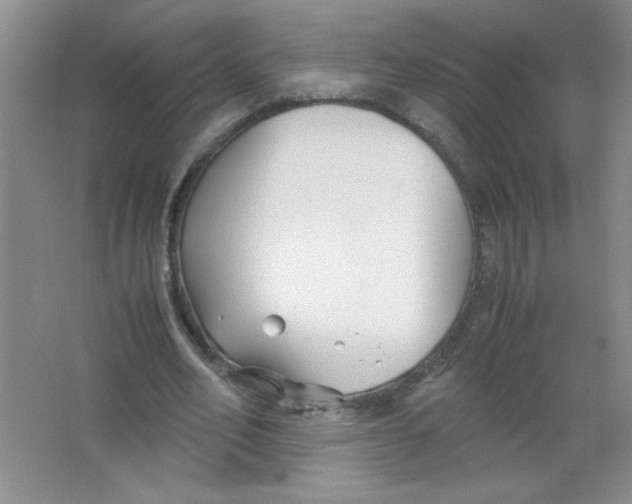 X0000063520582200602101954