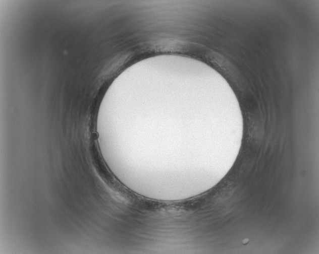 X0000063520586200602101953