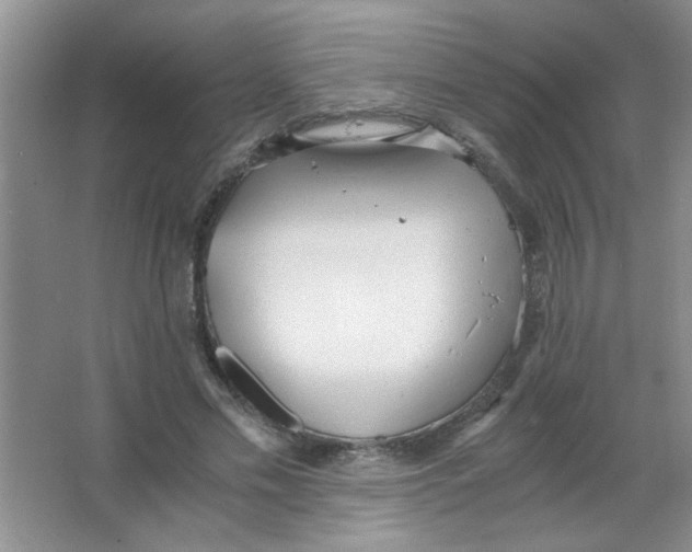 X0000063520589200602101953