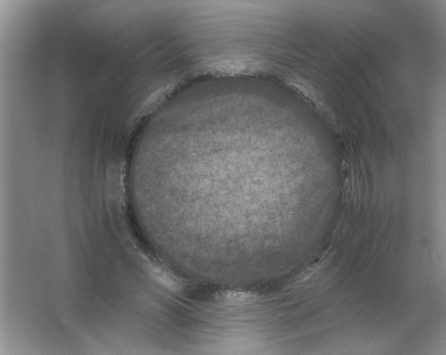 X0000063520590200602101953