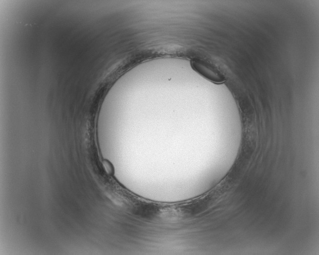 X0000063520591200602101953