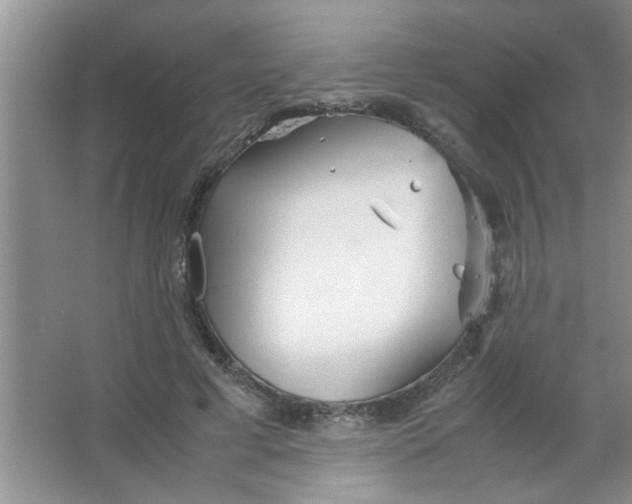 X0000063520593200602101953