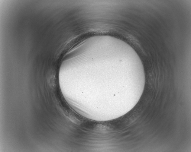 X0000063520596200602101953