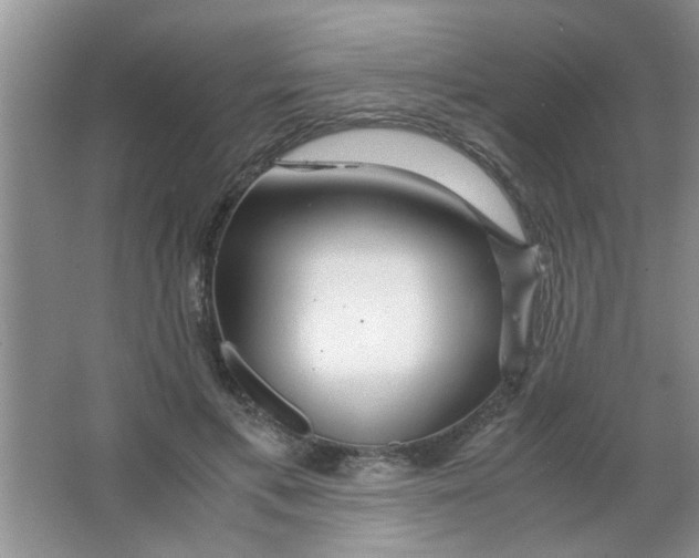 X0000063520597200602101953