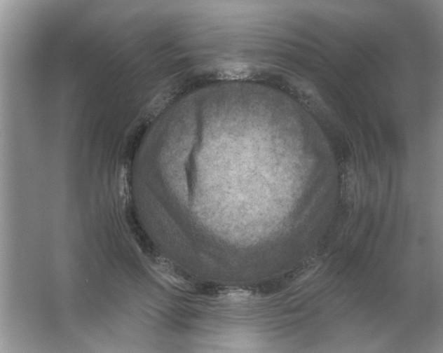 X0000063520598200602101953