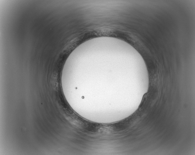 X0000063520599200602101953