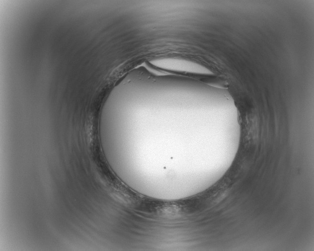 X0000063520600200602101953